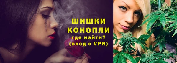 индика Краснотурьинск