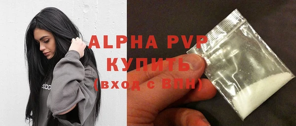 индика Краснотурьинск
