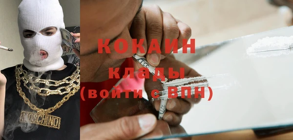 индика Краснотурьинск