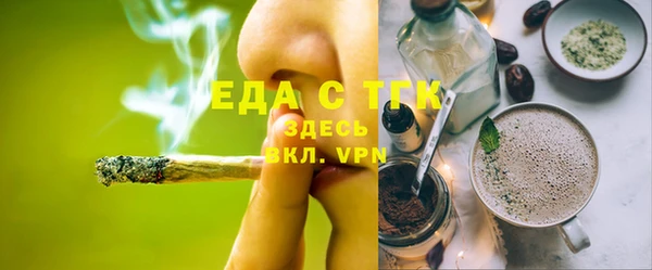 индика Краснотурьинск