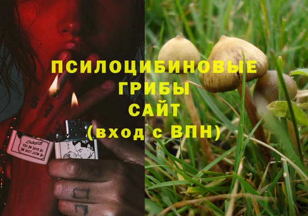 индика Краснотурьинск