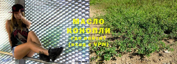 индика Краснотурьинск