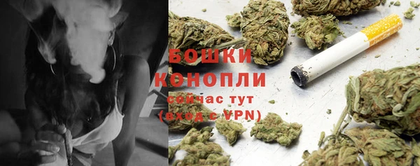 индика Краснотурьинск