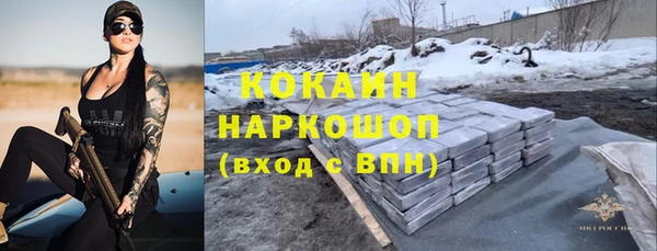 индика Краснотурьинск