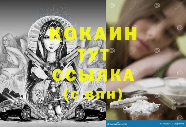 стаф Краснослободск