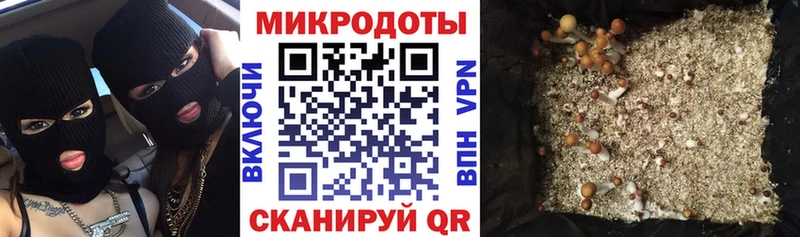 Галлюциногенные грибы мухоморы Пойковский