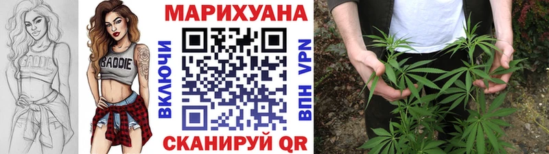 Канабис сатива  KRAKEN маркетплейс  Пойковский 